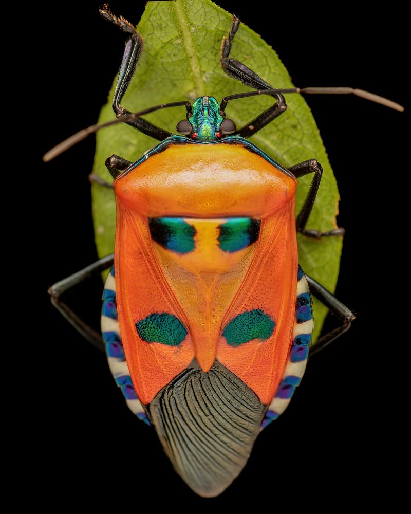 Photograph by Utkarsh Patil