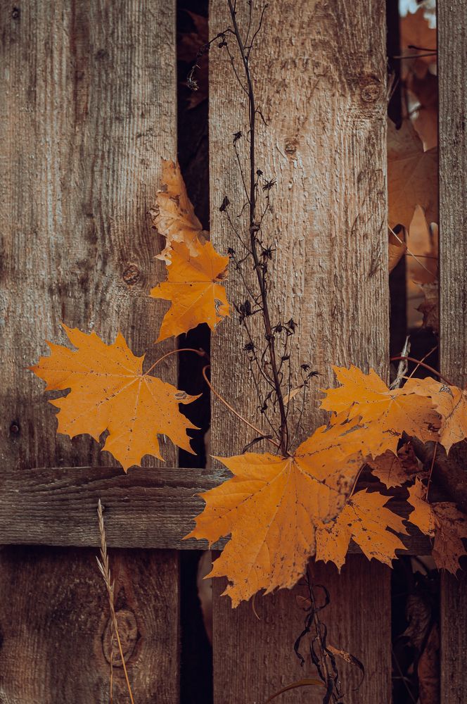 Photograph by Олеся Лагутина