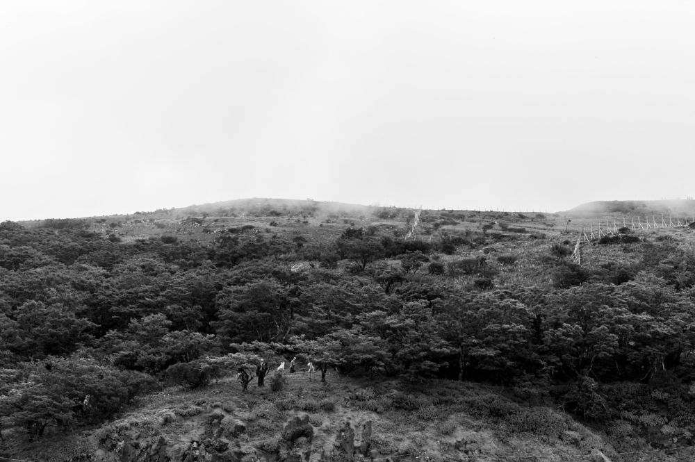 Photograph by Young Shawn