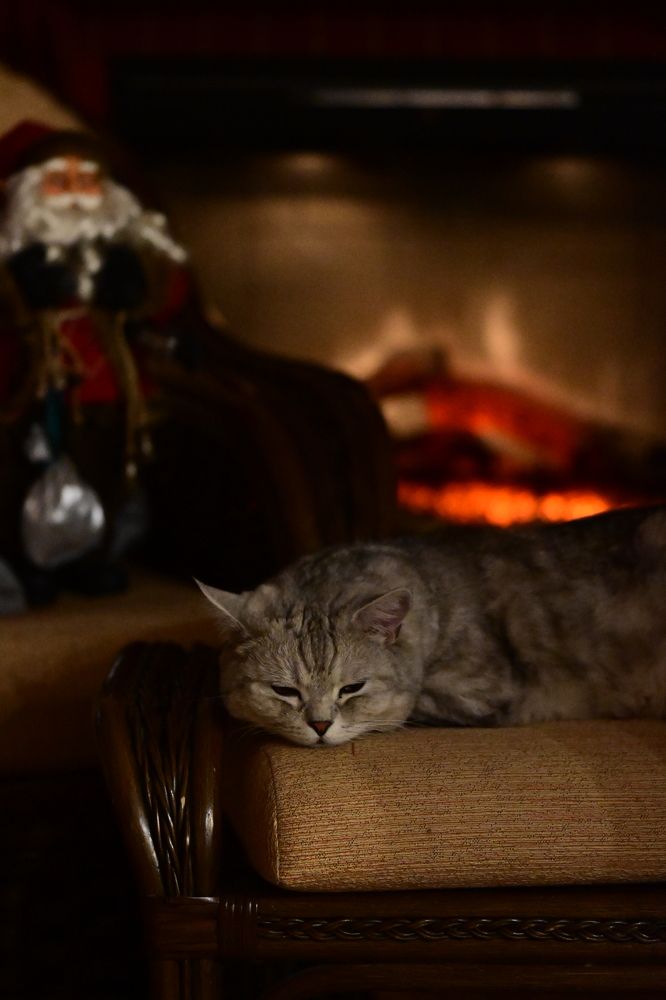 Photograph by Светлана Рубникович