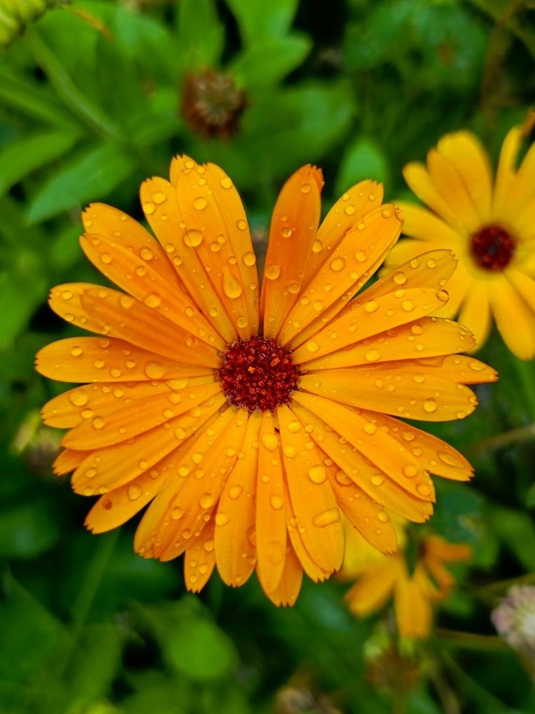 Photograph by Наталина Князева