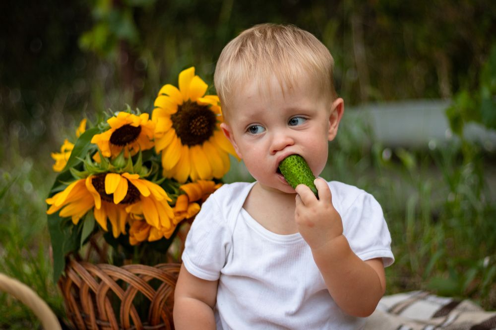 Фотография автора Виталий Панченко