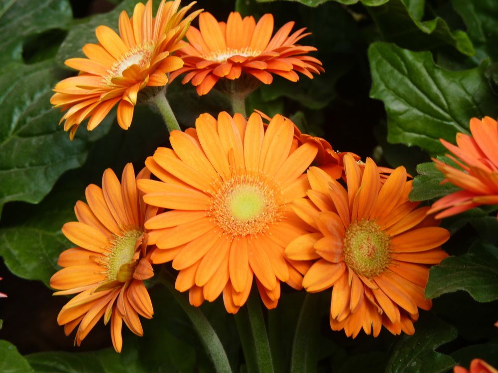 Photograph by Galina Leskova