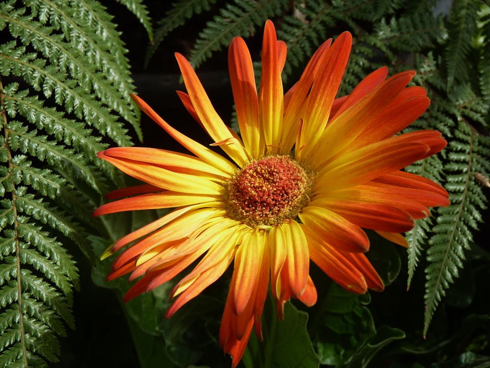 Photograph by Galina Leskova