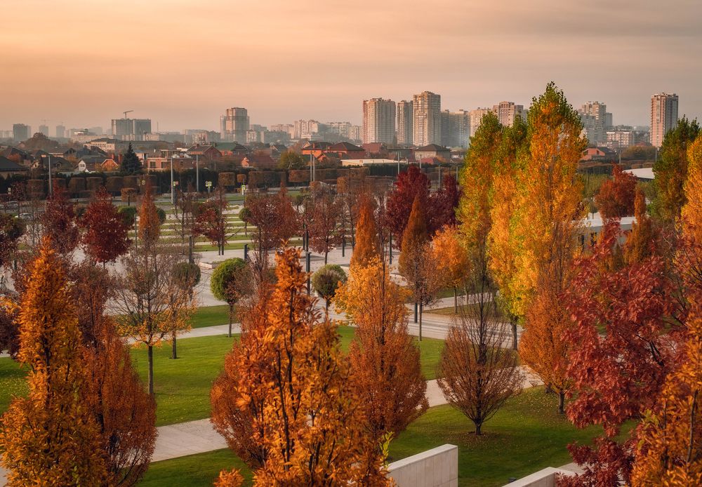 Фотография автора Константин Яковлев