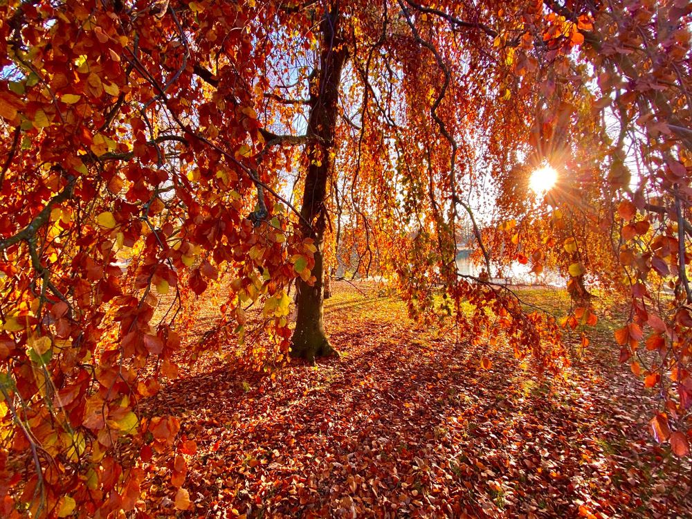 Photograph by Janina Segeda