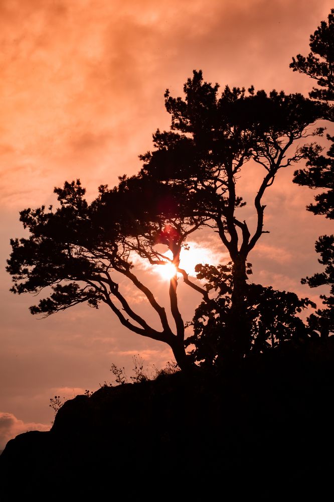 Фотография автора Константин Яковлев