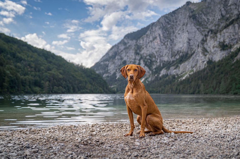 Photograph by Krisztián Csalami