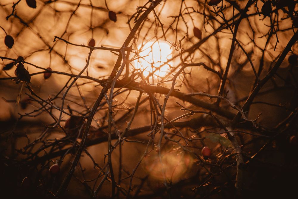 Photograph by Tymek Gajewski