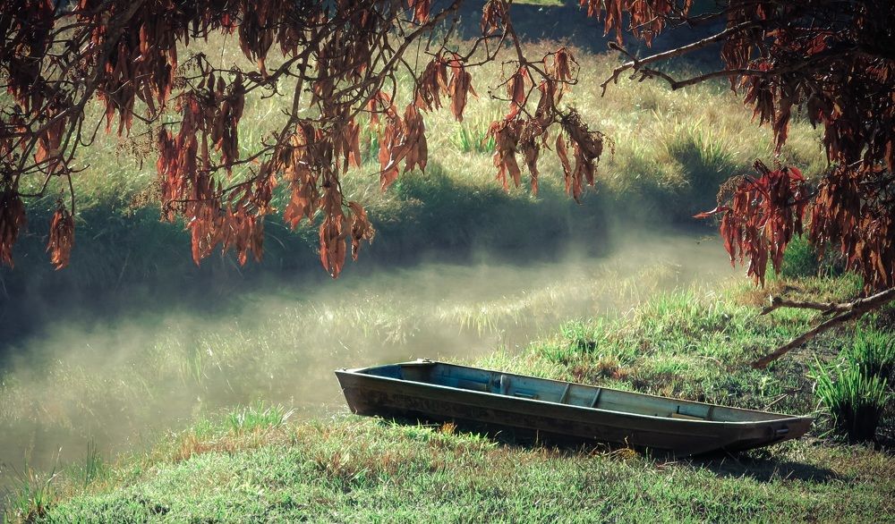 Amanhecer na fazenda