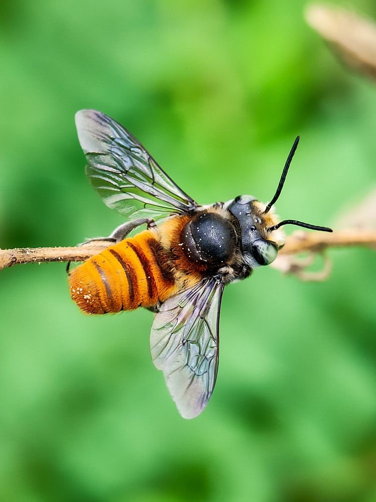 Photograph by Antaryami Das