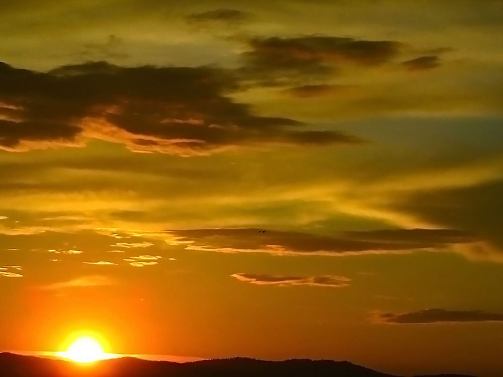 Photograph by Ирина Александрович