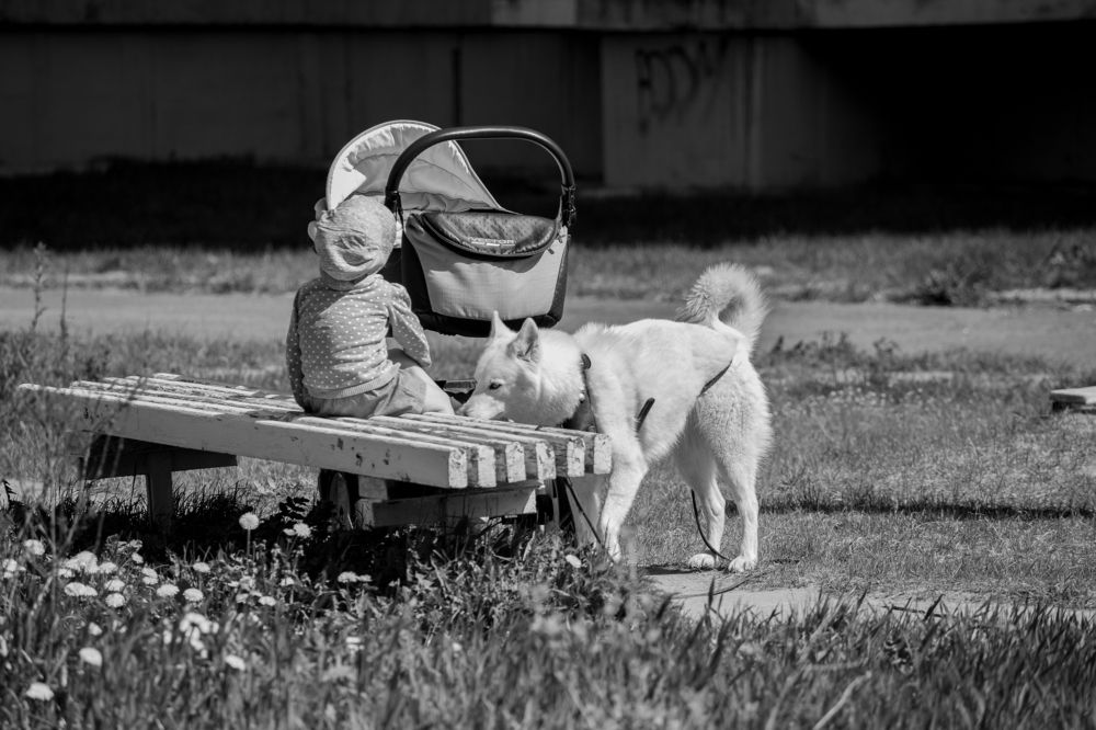 Photograph by Евгений Авдеев