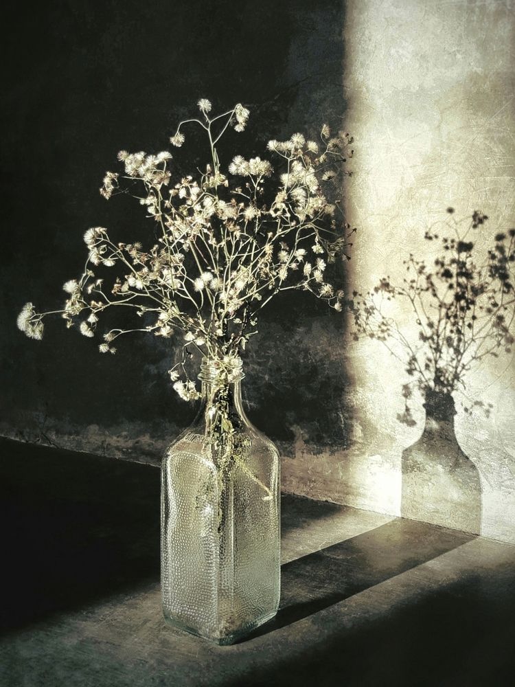 Photograph by Bustamante Molina