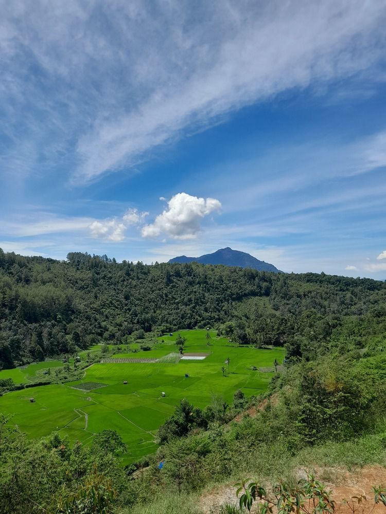 A View of A Bongsu mount and Long Paddy Field