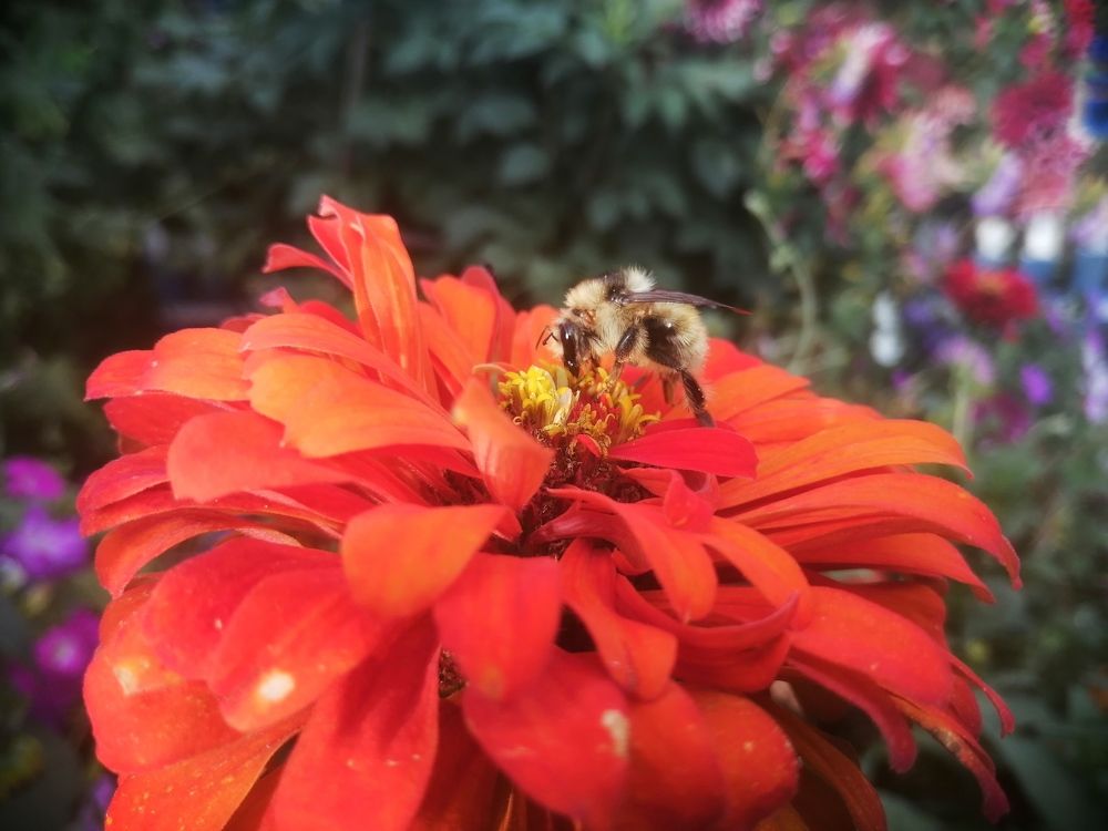 Photograph by Надежда Яковлева