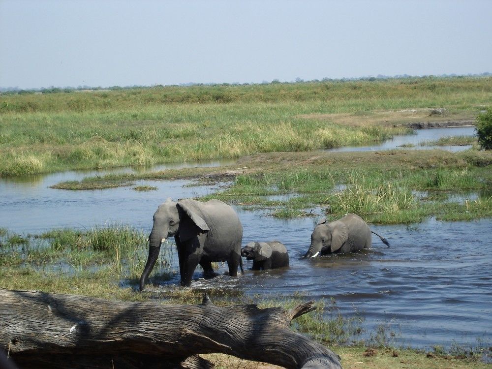 Photograph by Ирина Орлова