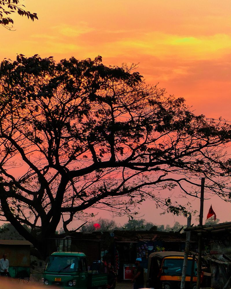 Photograph by Pritimayee Patra