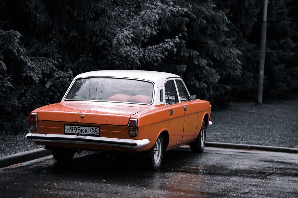 Photograph by Сергей ПЛАТОНОВ