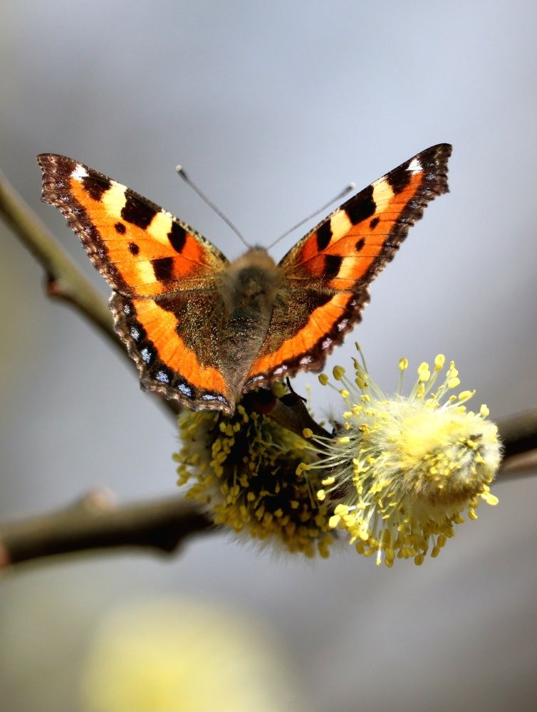 Photograph by Алексейчик Дмитрий