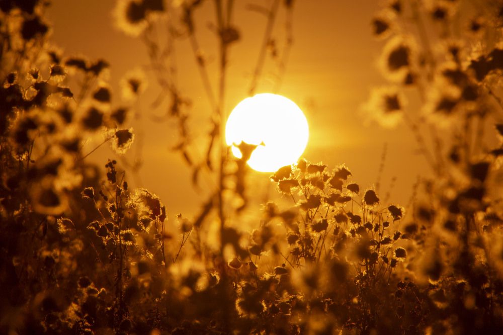 Photograph by Игорь Сапронов