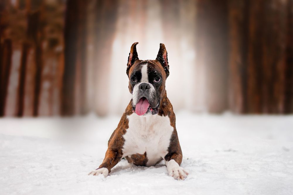 Photograph by Анна Карпенко