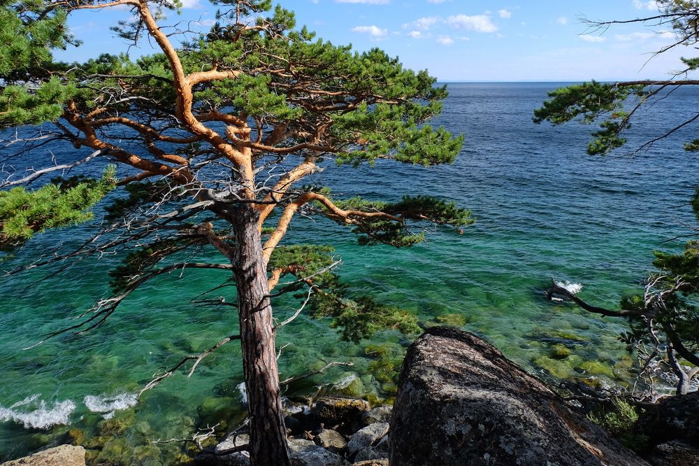 Фотография автора Андрей Ильков