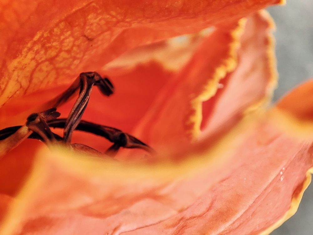 Photograph by Meilany Wijaya