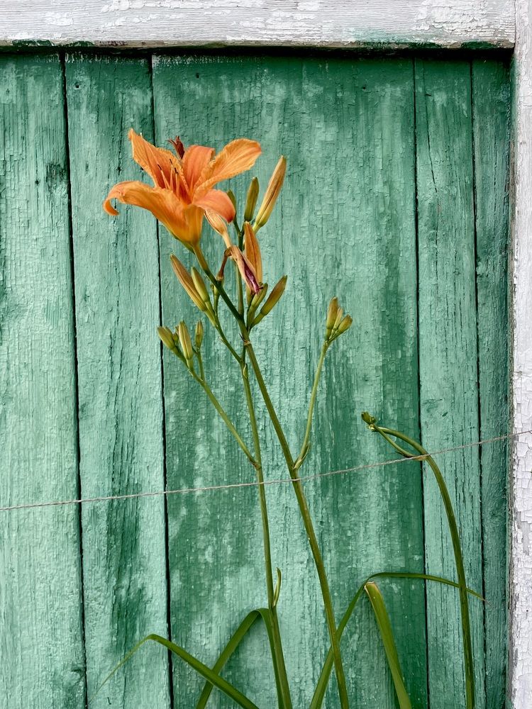 Photograph by Екатерина Максимова