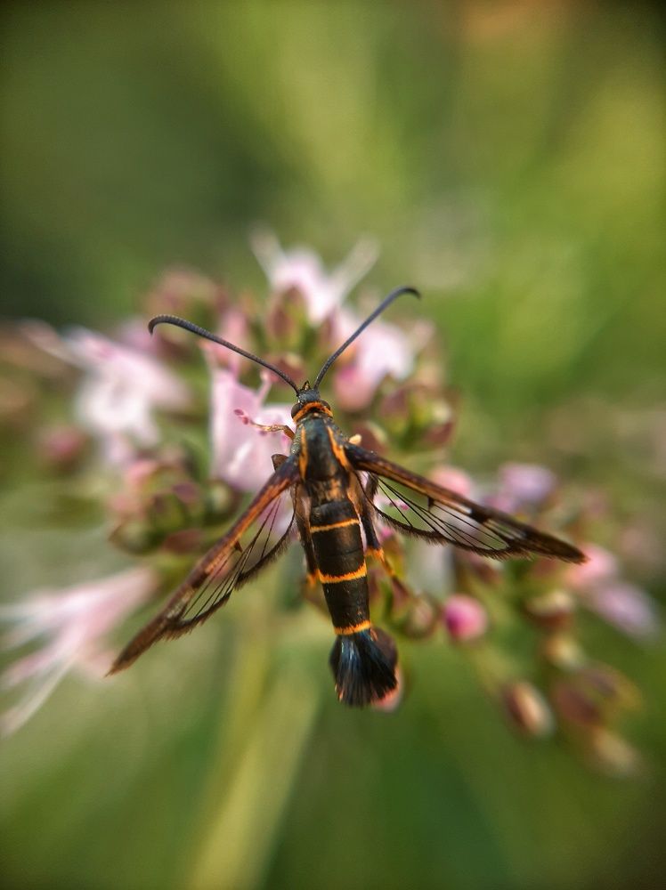 Photograph by Наталия Игоревна