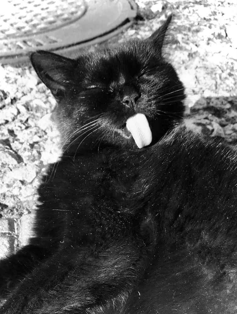 Photograph by Александр Сакович