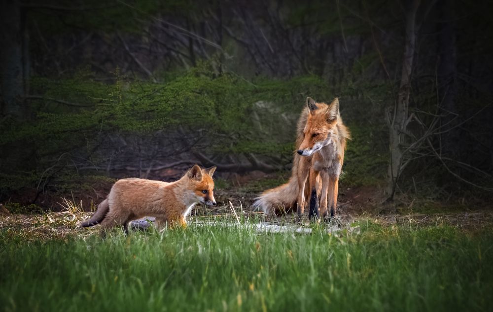 Photograph by Вероника Романенко