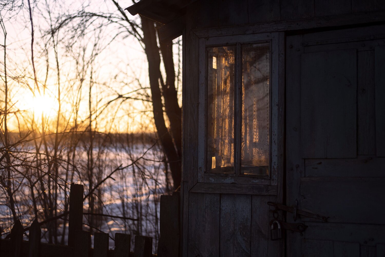 Photo #9439132