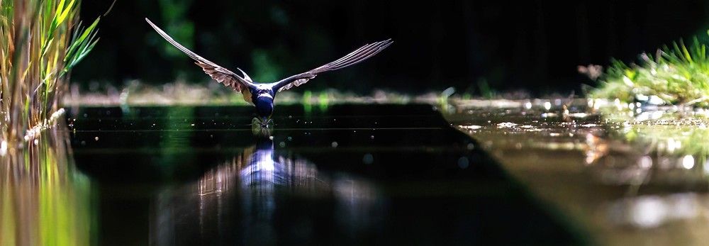 Photograph by Chris Brain