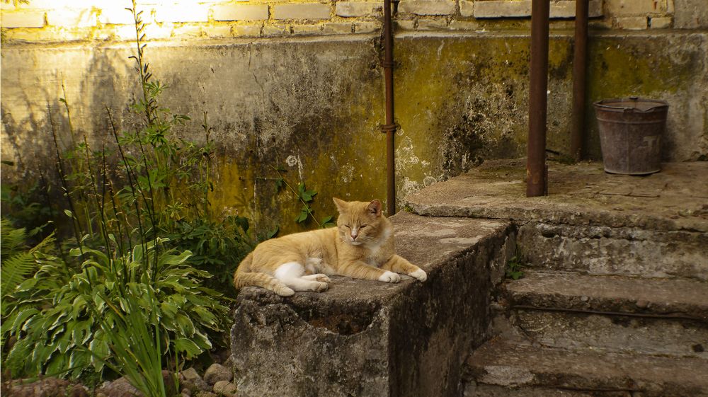 Фотография автора Юрий Цыркунов