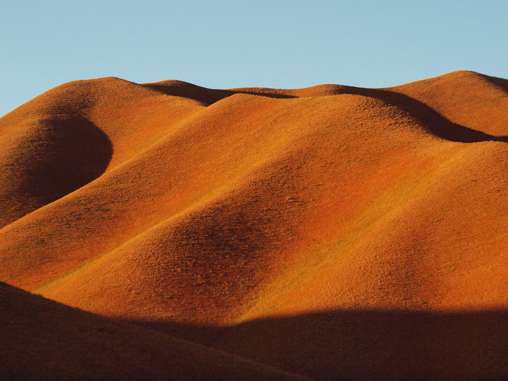 Photograph by Ирина Протченко