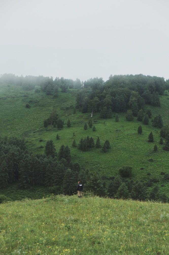 Photograph by Алина Эбель