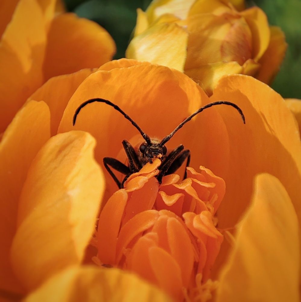 Photograph by Алина Эбель