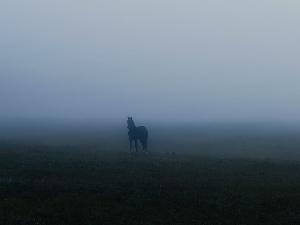 Photograph by Кира