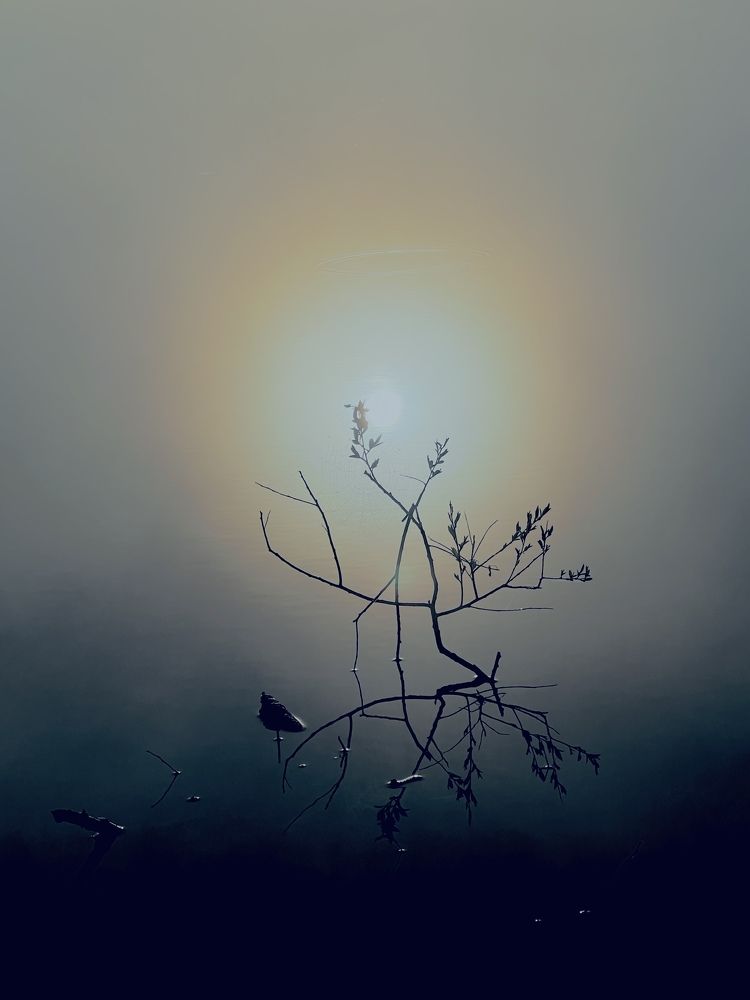 Photograph by Кира