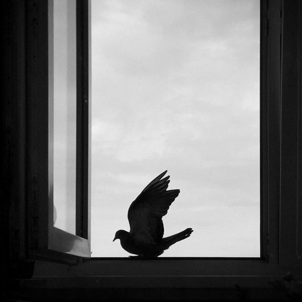 Photograph by Александр Сакович