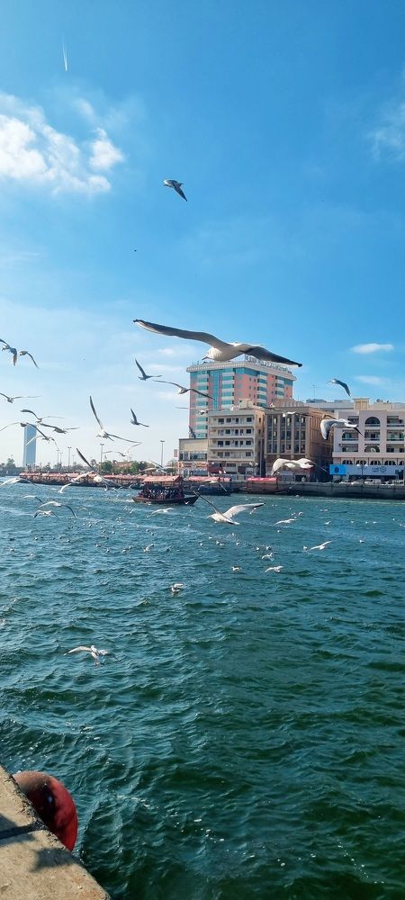 Photograph by Наталья Золотарева