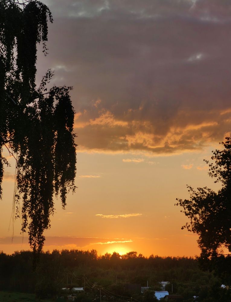 Photograph by Полина Александровна