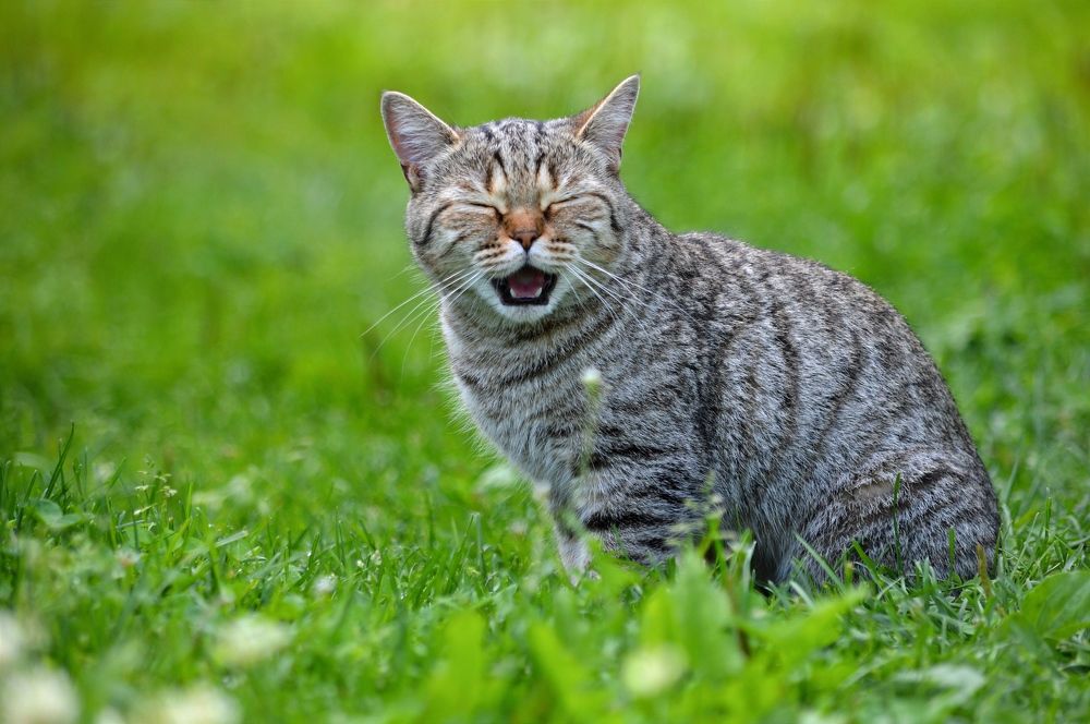 Photograph by Ольга Карабулина