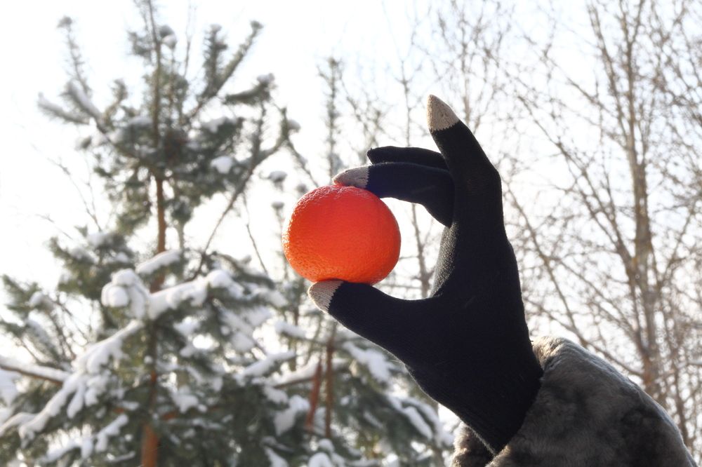 Photograph by Елизавета Мишина