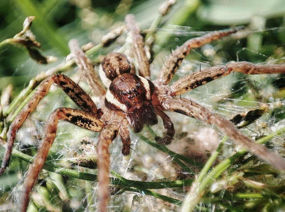 Photograph by Алина Эбель