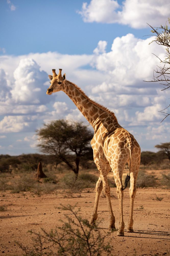 Photograph by Snezhana Shustova