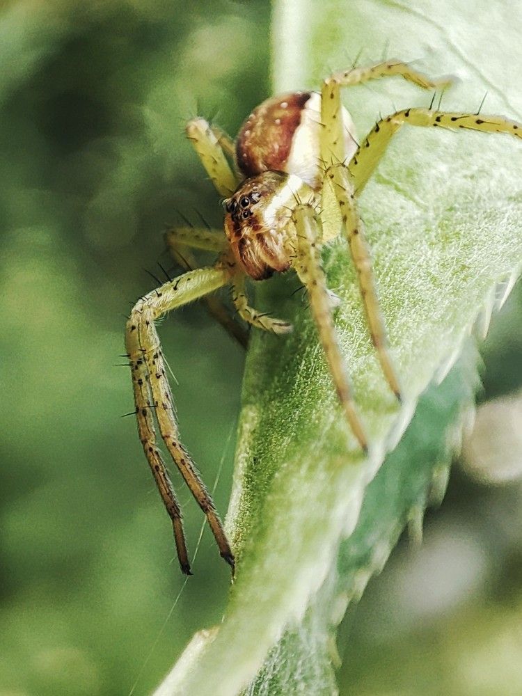 Photograph by Алина Эбель