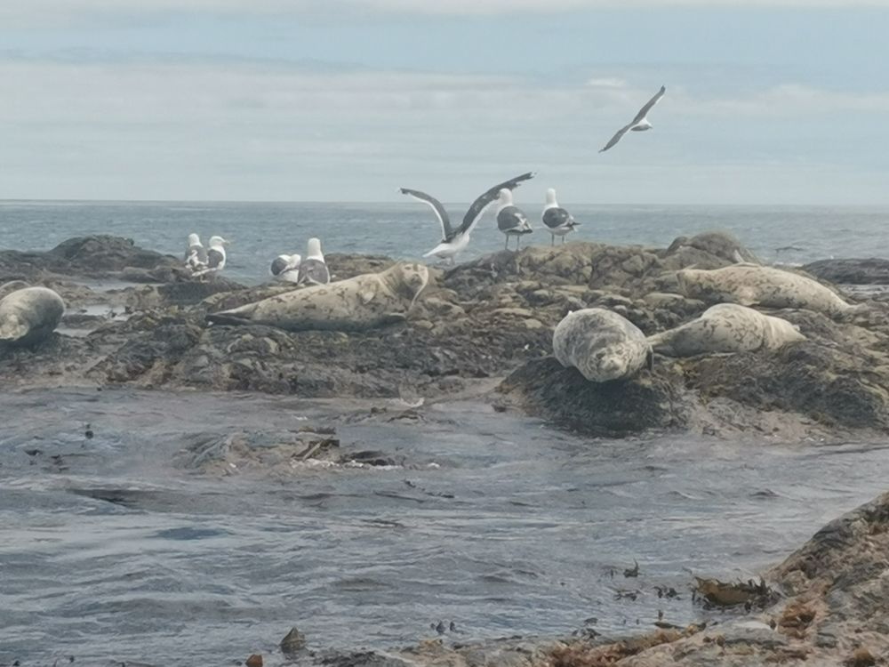 Photograph by Ольга Логарева