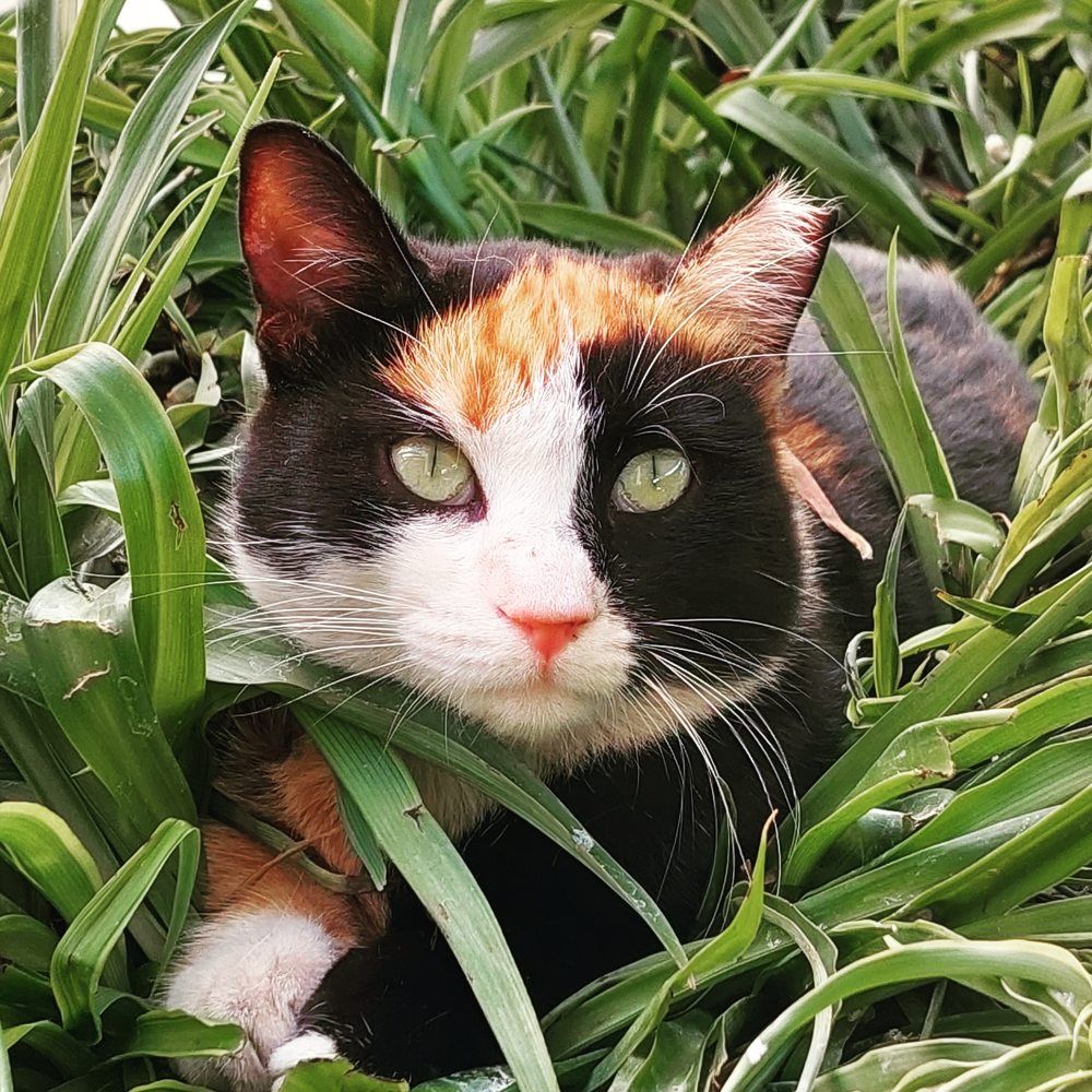 Photograph by Sedef Onum